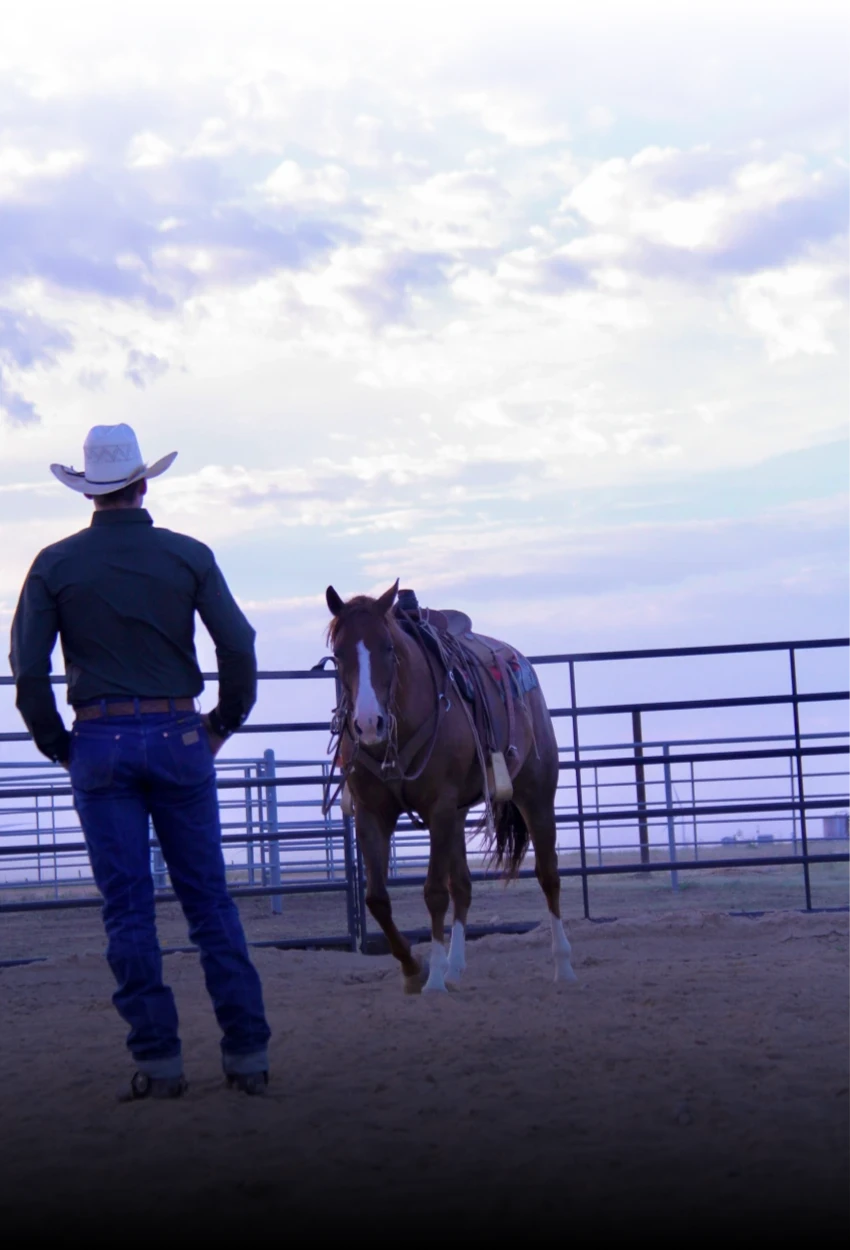 A cowboy wearing a white hat, dark shirt, and jeans stands with his back to the camera next to a brown horse with a saddle, overlooking a vast open sky.