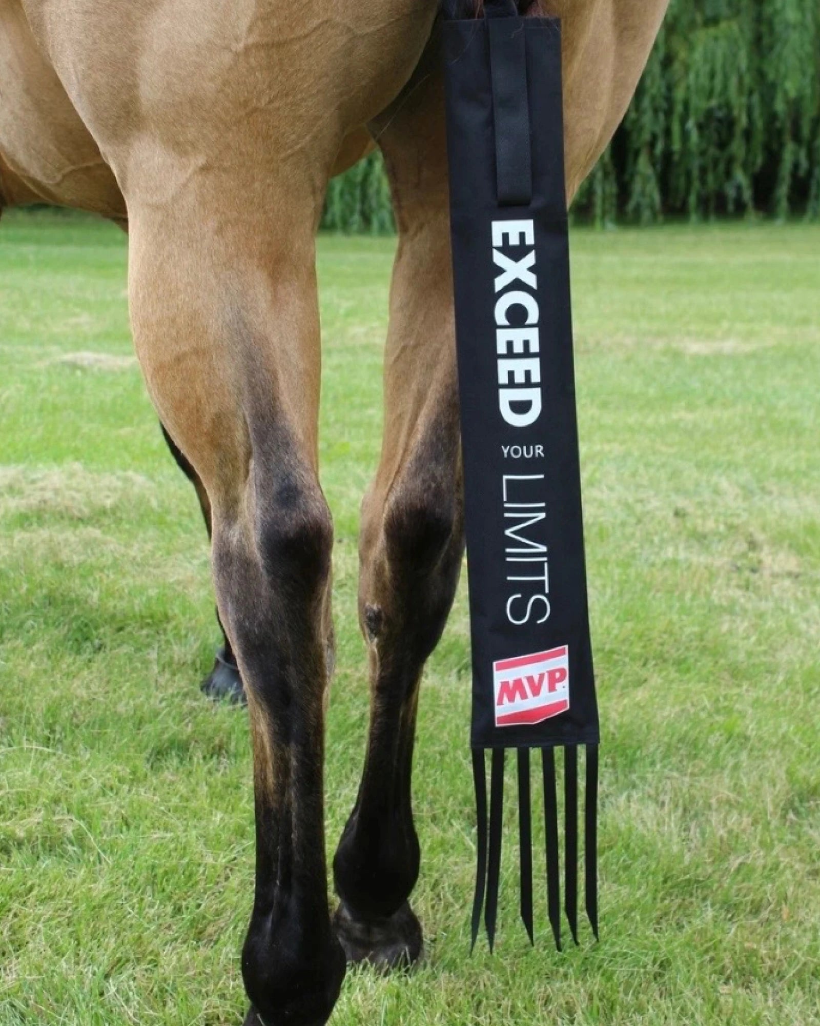 Horse standing in a grass field wearing a black tail bag