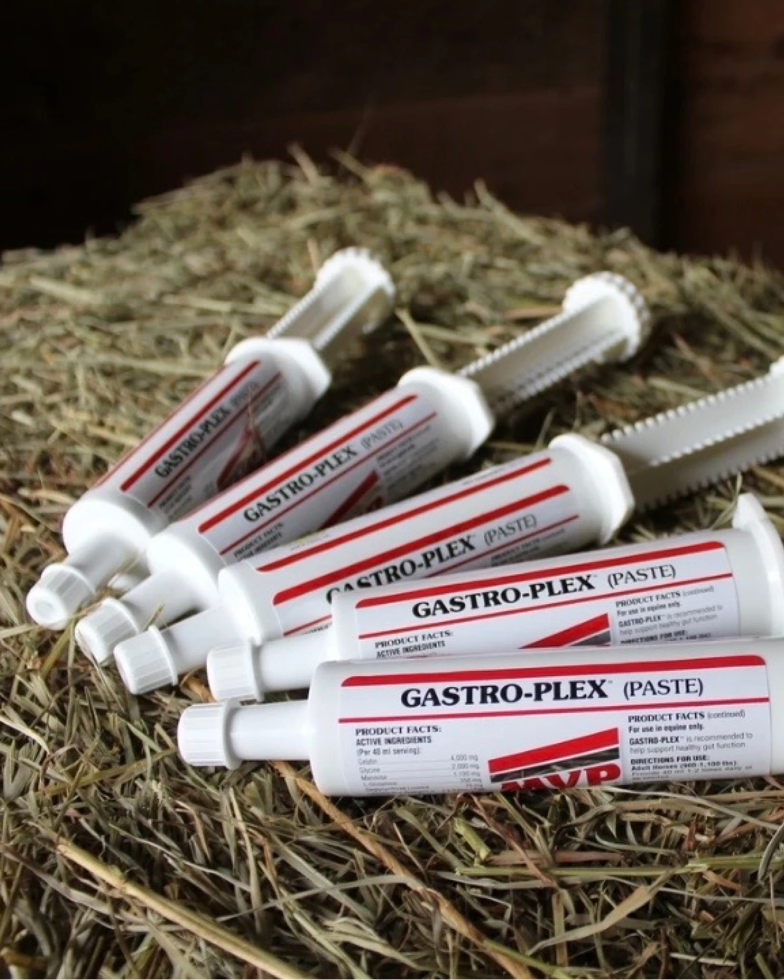 Paste syringes for horses laid on a hay bale