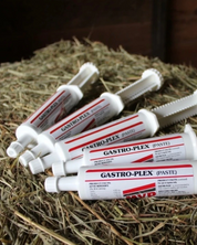 Paste syringes for horses laid on a hay bale